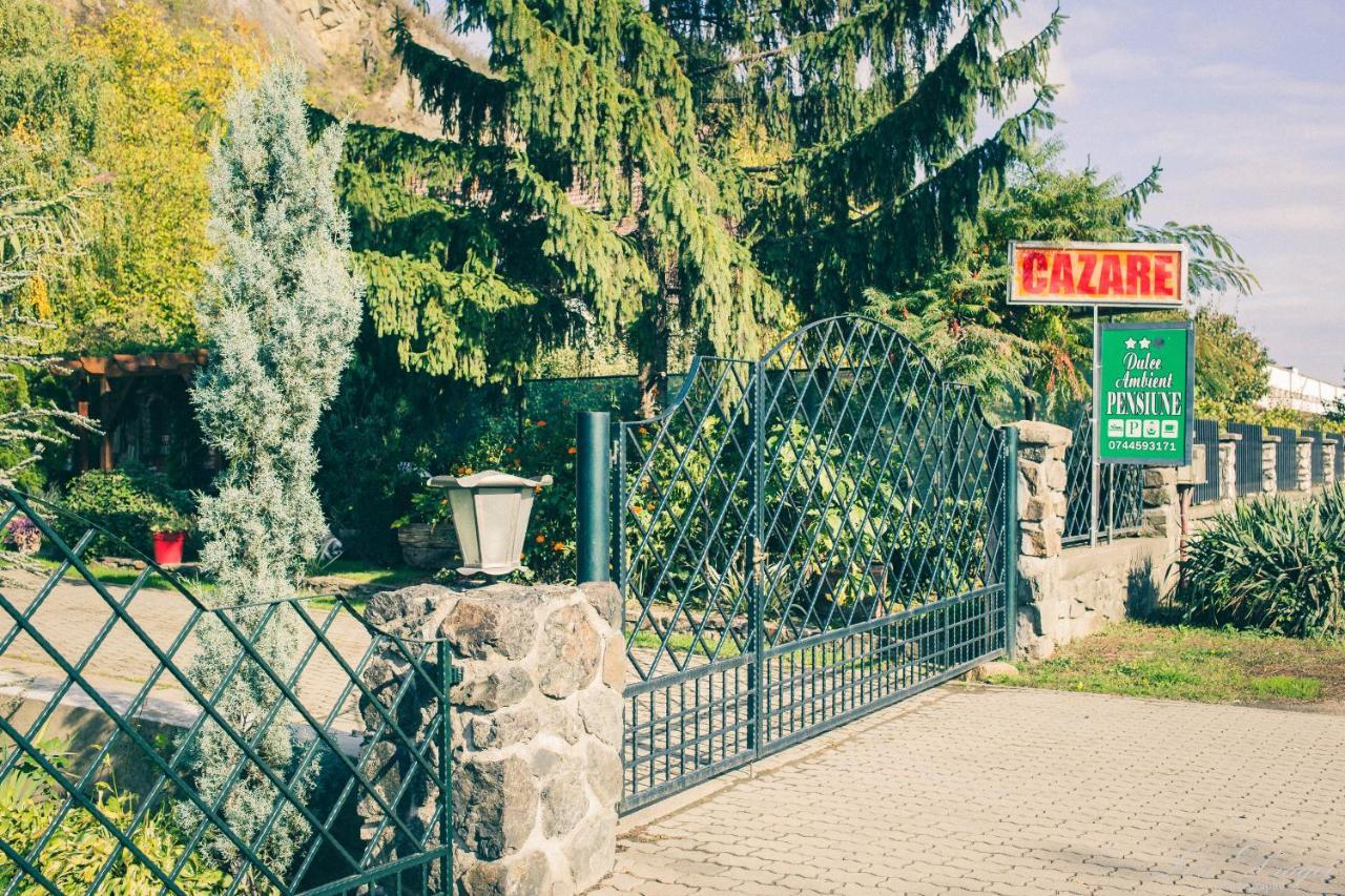Pensiunea Dulce Ambient Paulis Dış mekan fotoğraf